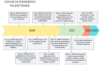 COVID-19 on the spectrum: a scoping review of hygienic standards